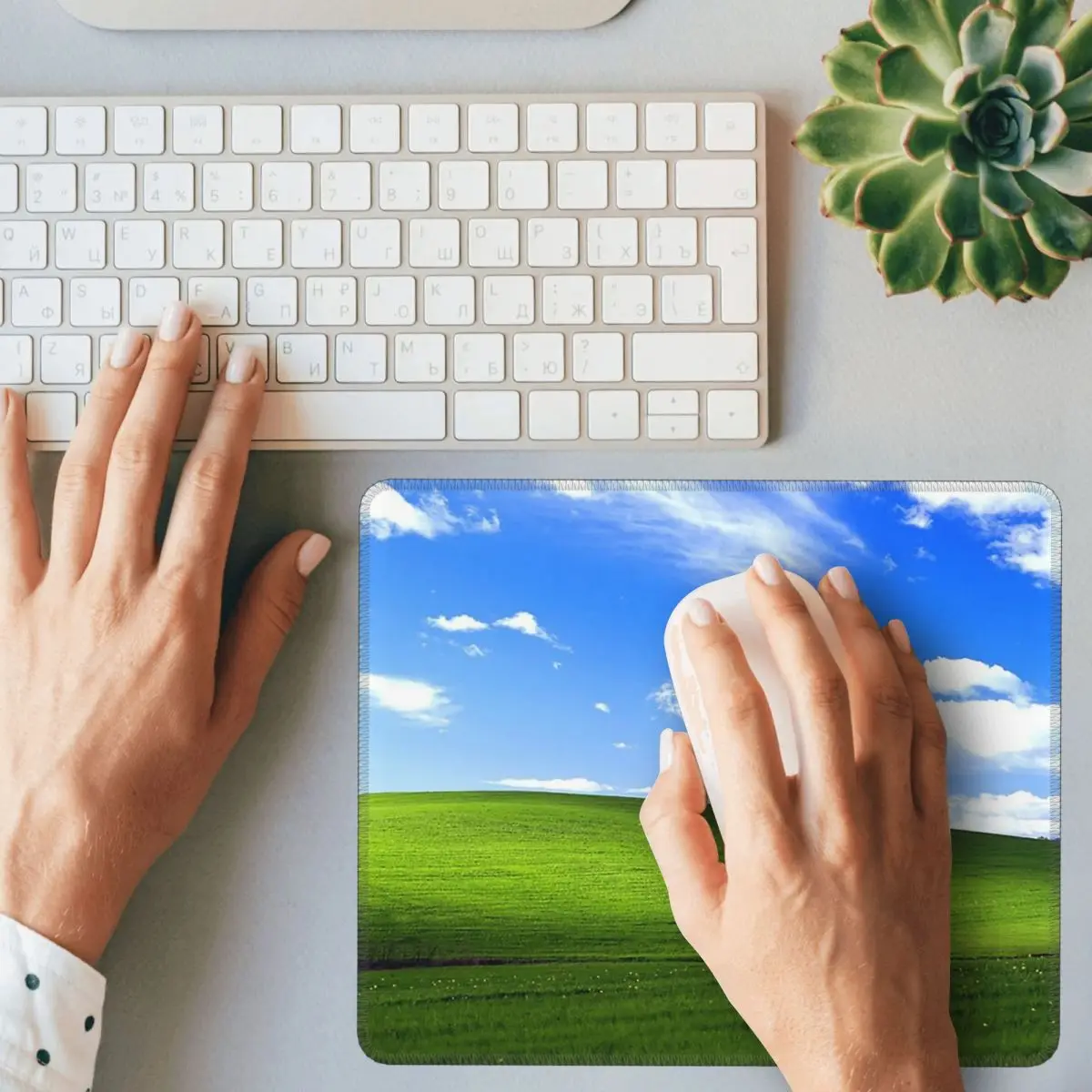 Tapis de souris Windows XP, ta - Office Xp avis et prix